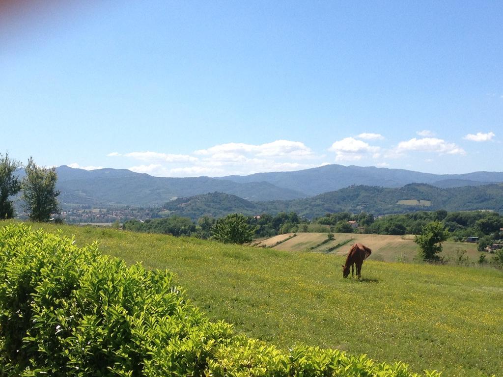 "Villa Bizzi" Monte Castelli Exteriör bild
