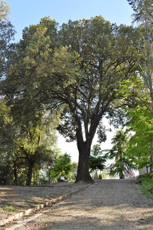 "Villa Bizzi" Monte Castelli Exteriör bild